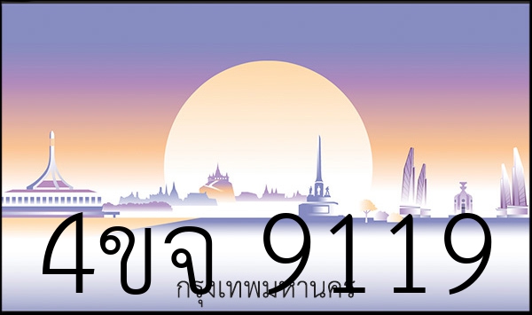 4ขจ 9119